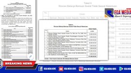 Temuan BPK 2019, terindikasi banyak pelanggaran yang belum di selesaikan dan sudah bisa dibawa ke ranah hukum.