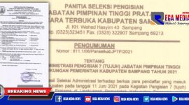 Surat pengumuman panitia seleksi pengisian jabatan pimpinan tinggi pratama secara terbuka Kabupaten Sampang.