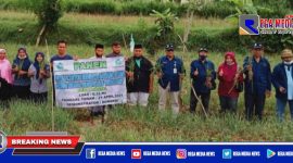 Pemuda milenial yang tergabung dalam kelompok tani bersama BPP Robatal saat panen bawang merah.
