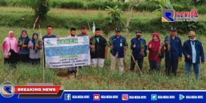 Inovasi Pemuda Milenial Robatal Sampang Dalam Bertani Bawang Merah