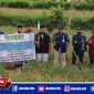 Pemuda milenial yang tergabung dalam kelompok tani bersama BPP Robatal saat panen bawang merah.