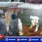 Tampak anggota PMI Sampang menggunakan APD lengkap saat pemulasaraan jenazah positif Covid-19.
