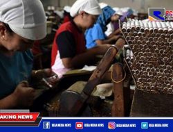 Sebanyak 70 Pabrikan Rokok Legal di Pamekasan Masih Masuk Tipe Golongan III