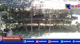 Tampak sejumlah kambing dikandang milik pedagang hewan qurban di Desa Pangongsean, Sampang.