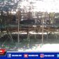 Tampak sejumlah kambing dikandang milik pedagang hewan qurban di Desa Pangongsean, Sampang.