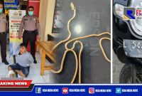Pelaku penjambretan dan barang buktinya saat diamankan di Mapolsek Tambak Sari, Surabaya.