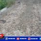Tampak kondisi pengerjaan proyek rabat beton di Desa Gunung Kesan, rusak.