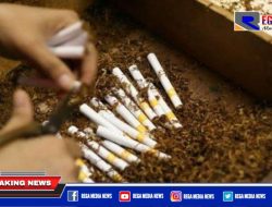 Gunakan Anggaran DBHCHT, Pelatihan Linting Rokok di Pamekasan Gandeng Pabrik Legal