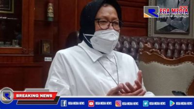 Mensos Risma Minta Disabilitas Tidak Bergantung