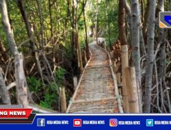 Pembangunan Wisata Mangrove di Sampang Kandas