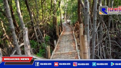 Pembangunan Wisata Mangrove di Sampang Tak Tersentuh Pemerintah Pusat