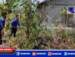 Gedung Sekolah di Sampang Jadi Sasaran Sijago Merah