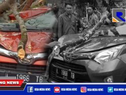 Mobil Tertimpa Pohon Tumbang di Bangkalan