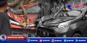 Mobil Tertimpa Pohon Tumbang di Bangkalan