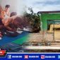 Caption: tampak ruang kelas SDN Bire Tengah 5 ambruk dan kegiatan belajar mengajar dilaksanakan dirumah warga.