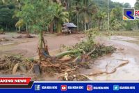 Caption: tampak pemukiman warga dan sawah usai dilanda banjir.