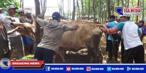 IB Gratis di Sampang Dipastikan Cukup Hingga Akhir Tahun