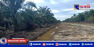 Pembangunan Jalan Aceh Selatan Diduga Serobot Tanah Warga