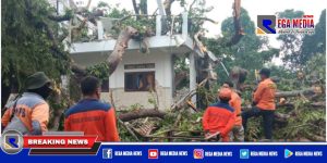 Pondok dan Santri di Sampang Tertimpa Pohon Angker