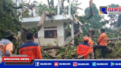 Pondok dan Santri di Sampang Tertimpa Pohon Angker