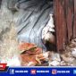 Caption: seorang pria saat ditemui berada di lokasi gudang pembuangan limbah mie.