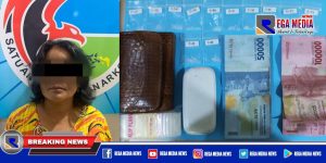 Jadi Pengedar, Emak-Emak di Surabaya Ditangkap Polisi