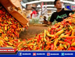 Harga Cabe dan Minyak di Pamekasan Melonjak