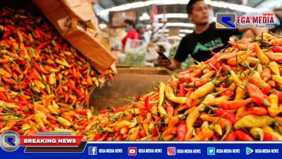 Harga Cabe dan Minyak di Pamekasan Melonjak