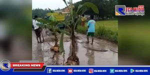 Warga Sampang Nekat Tanam Pohon Pisang Dijalan
