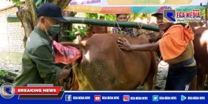 Disperta KP Sampang Posyandu Ternak Door To Door