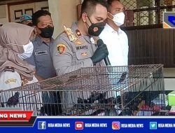 Selundupkan Burung, Warga Surabaya dan Lamongan Dibekuk