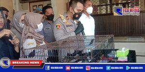 Selundupkan Burung, Warga Surabaya dan Lamongan Dibekuk
