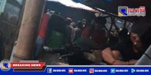 Warga Resah, Judi Sabung Ayam di Jombang Dibiarkan