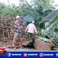 Caption: warga dibantu petugas tengah mengevakuasi bekas reruntuhan rumah yang rusak.
