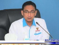 Ombudsman Temukan Potensi Maladministrasi Tata Kelola Izin Hutan