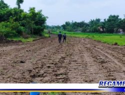 Mega Proyek JLS Sampang Rp 204,5 Miliar Digarap