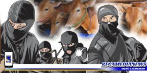 Dijabat PJ, Situasi Desa Lepelle Sampang Tidak Kondusif