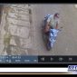 Caption: terduga pelaku penipuan terekam cctv.