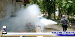 Antisipasi DBD, Puskesmas Robatal Sampang Gencarkan Fogging