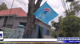Caption: tampak bendera partai terpaku di pohon sepanjang Jalan Jaksa Agung Suprapto, Sampang.