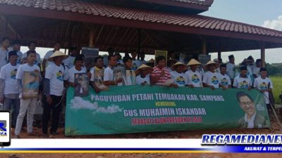 Petani Tembakau di Sampang Dukung Gus Muhaimin Maju Capres 2024