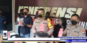 Polisi Bekuk Dua Pemuda Surabaya Pelaku Penyalahgunaan Ganja