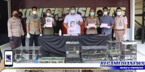 Polres Tanjung Perak Surabaya Ungkap Kasus Penyelundupan Satwa Dilindungi