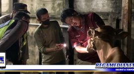 Caption: anggota Polsek Semampir saat pantau screening sapi di RPH Pagirian Surabaya.