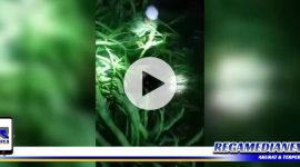 Caption: potongan video viral sejumlah warga mencari bocah yang hilang disembunyikan jin.