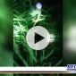 Caption: potongan video viral sejumlah warga mencari bocah yang hilang disembunyikan jin.