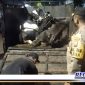 Caption: Kapolsek Semampir bersama Satgas PMK saat razia pengangkutan sapi ke RPH Pagirian Surabaya.