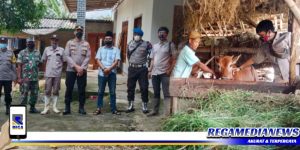 Cegah PMK, Ketua FPPS Tinjau Sapi Milik Petani Sokobanah
