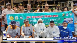 Pemkab Aceh Selatan Mulai Lakukan Vaksinasi PMK
