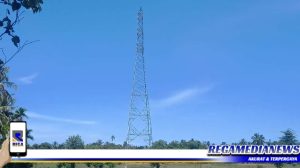 LIBAS Minta PLN Regional I Medan Tuntaskan Pembangunan Kabel GI Gunung Cut